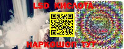 спиды Новодвинск