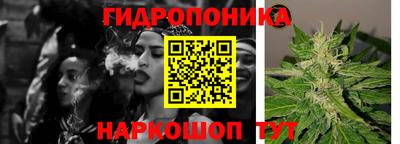 спиды Новодвинск
