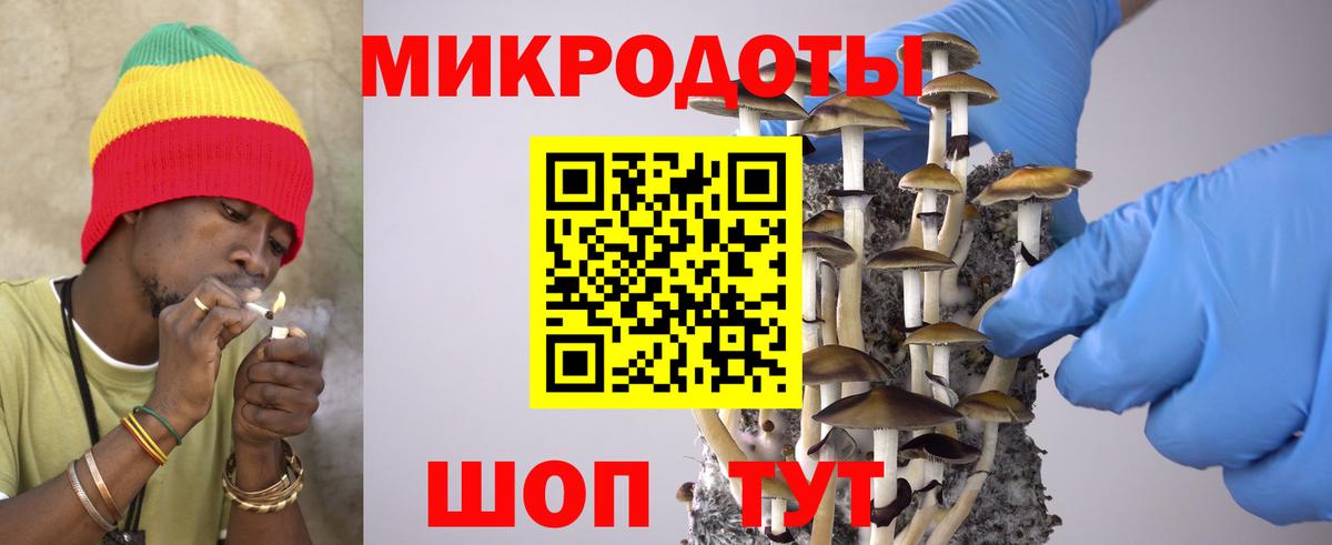 Псилоцибиновые грибы ЛСД  Галлюциногенные грибы прущие грибы  купить наркоту  Вход с VPN  Тайшет 